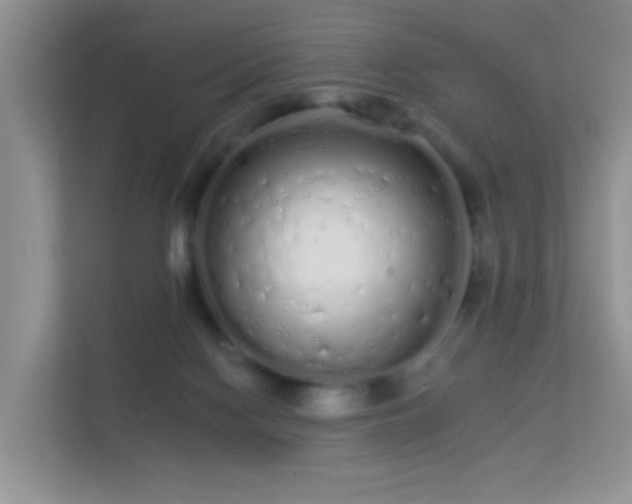 X0000113530074200909250914