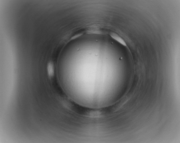 X0000113530075200909250914