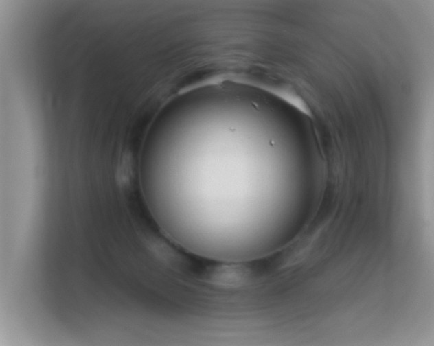 X0000113530077200909250914