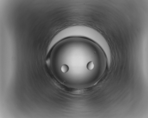 X0000113530084200909250914