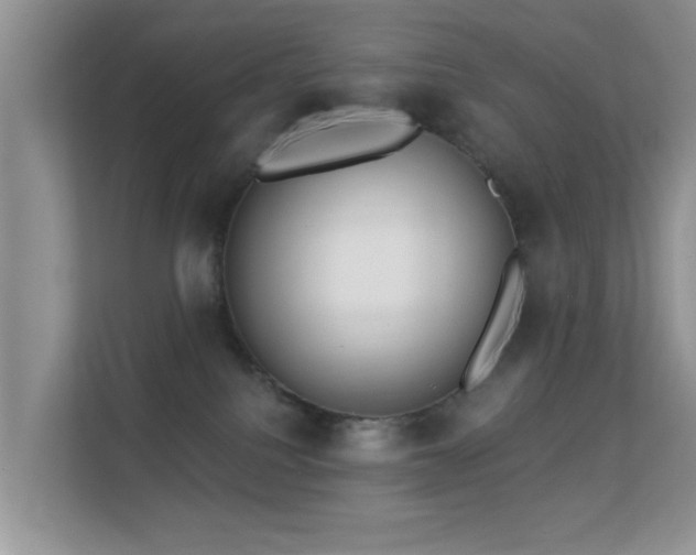 X0000113530088200909250914