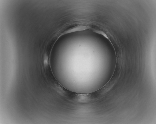 X0000113530089200909250914