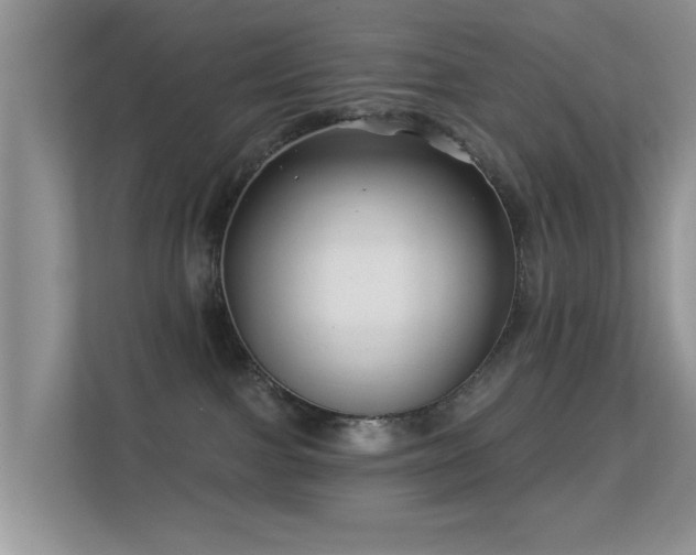 X0000113530091200909250914