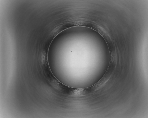 X0000113530092200909250914