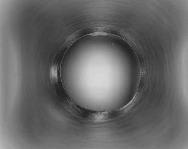 X0000113530094200909250914