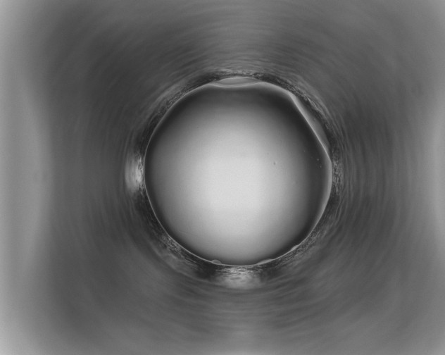 X0000113530095200909250914