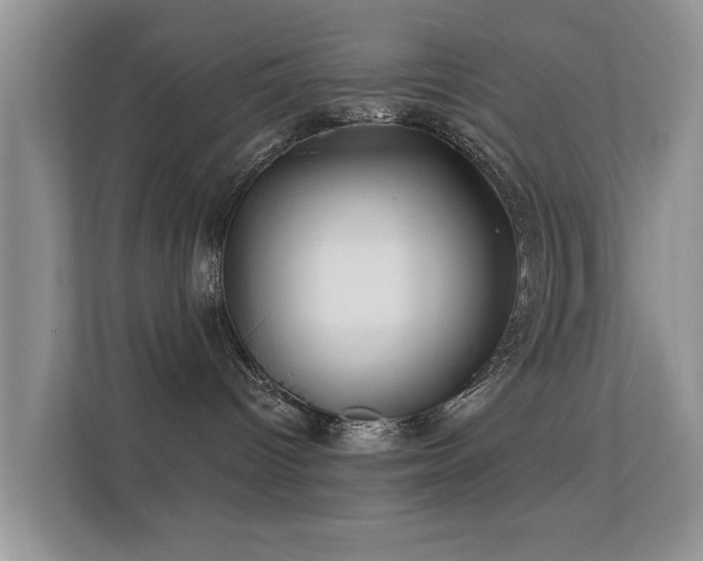 X0000113530096200909250914