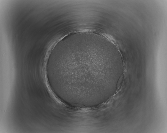 X0000113530097200909250914