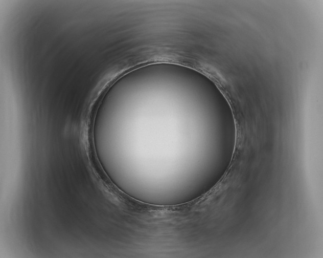 X0000113530098200909250914