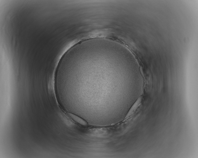 X0000113530100200909250914