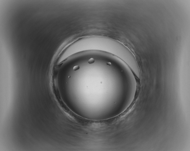 X0000113530101200909250914