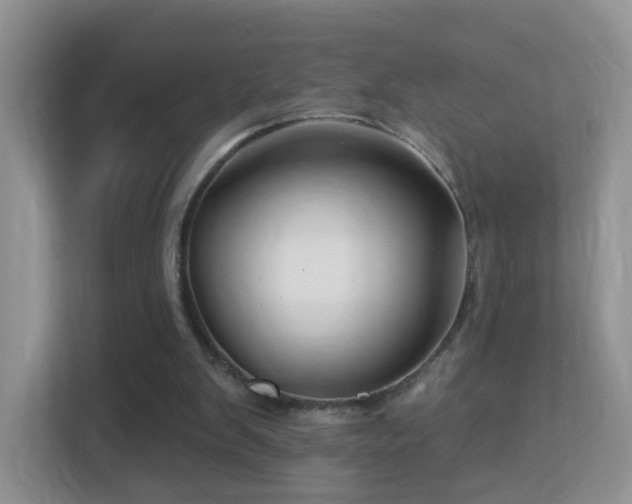 X0000113530103200909250914