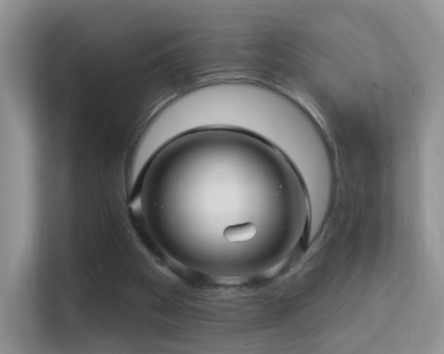 X0000113530105200909250914