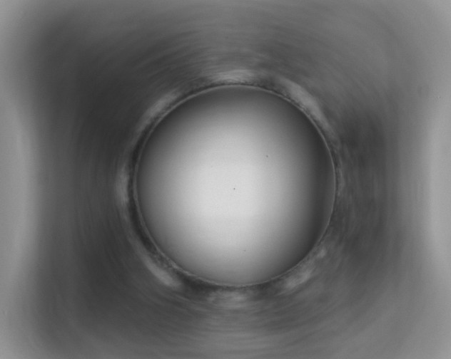 X0000113530106200909250914