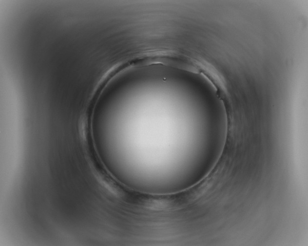 X0000113530107200909250914