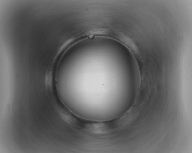 X0000113530108200909250914