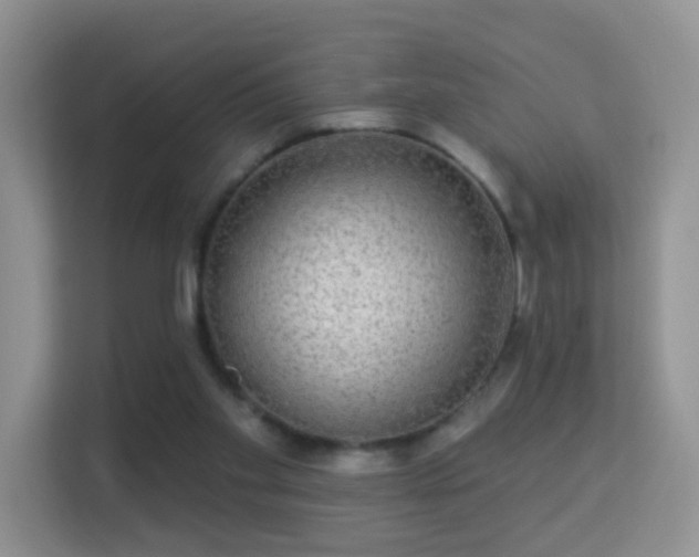 X0000113530109200909250914