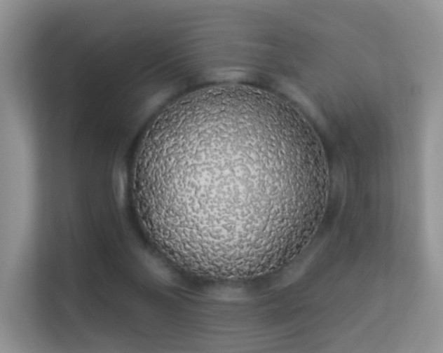 X0000113530110200909250914