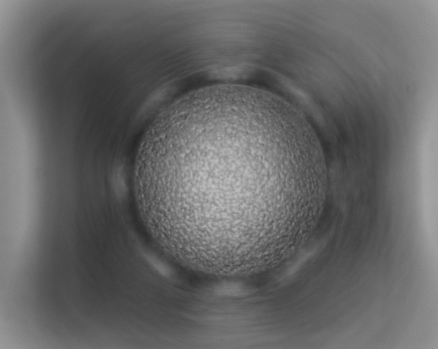 X0000113530114200909250914