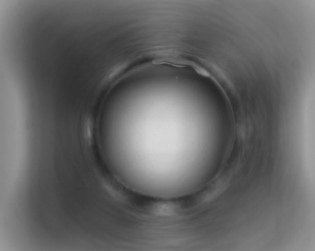 X0000113530115200909250914