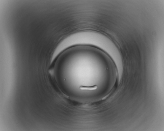 X0000113530121200909250913