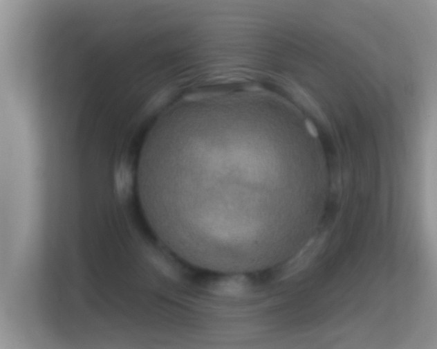 X0000113530124200909250913