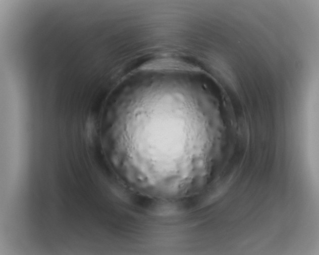 X0000113530127200909250913