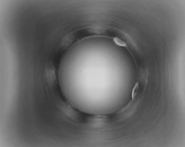 X0000113530128200909250913