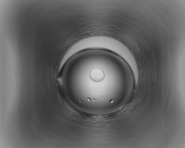 X0000113530133200909250913