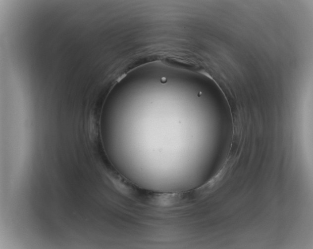 X0000113530136200909250913