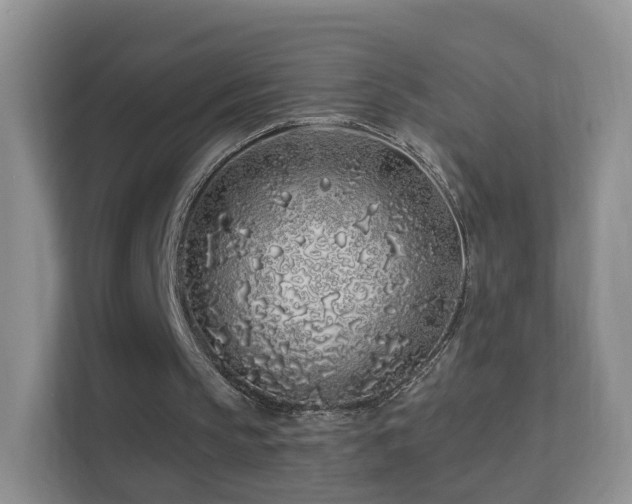 X0000113530145200909250913