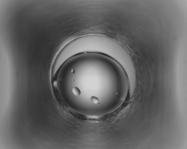 X0000113530148200909250913