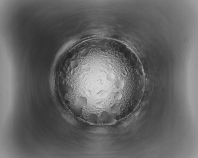 X0000113530149200909250913