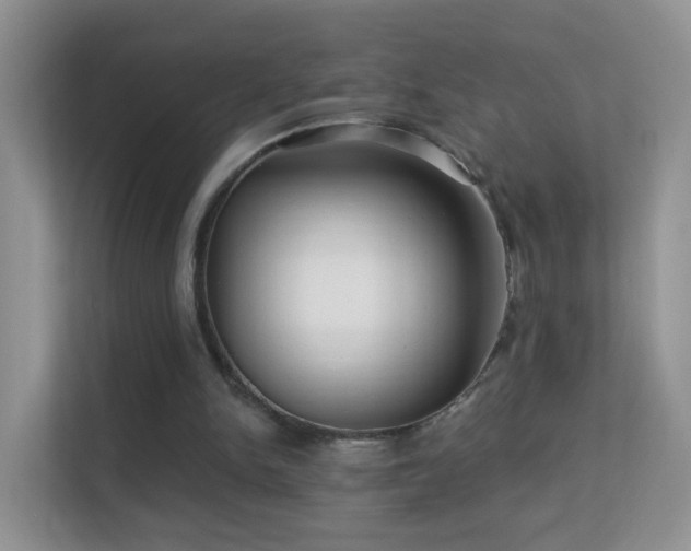 X0000113530150200909250913