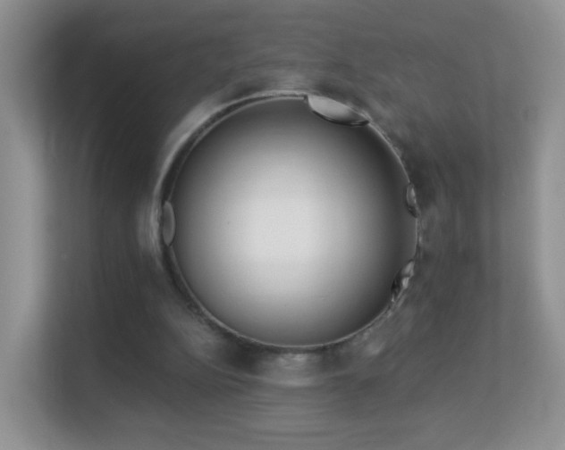 X0000113530152200909250913