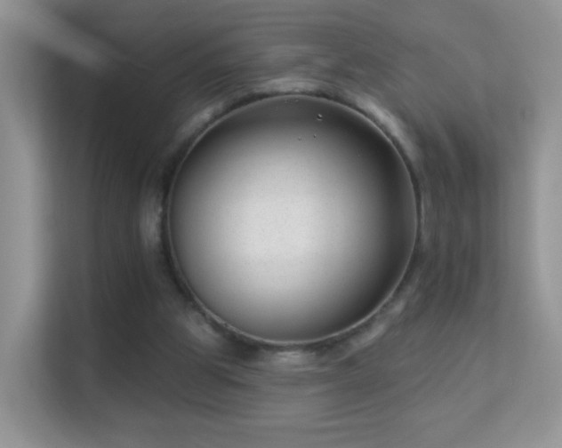 X0000113530153200909250913