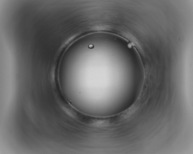 X0000113530155200909250913