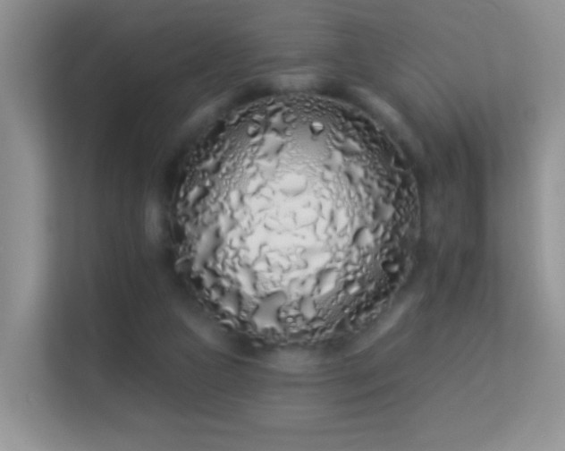 X0000113530161200909250913