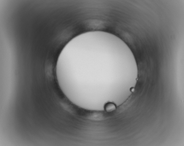 X0000113530162200909250913