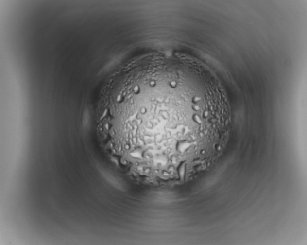 X0000113530165200909250913