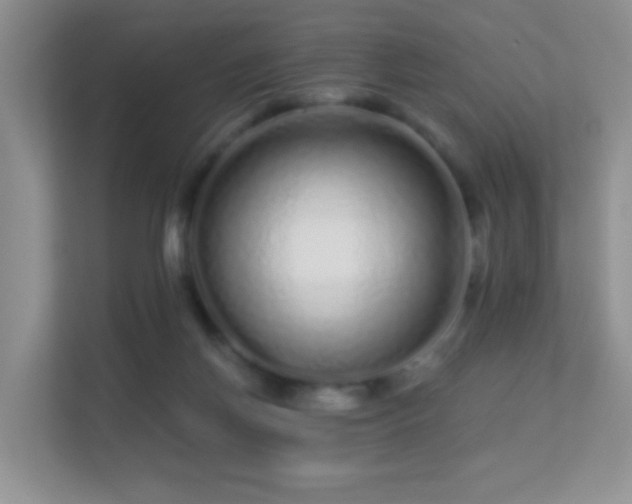 X0000113530166200909250913