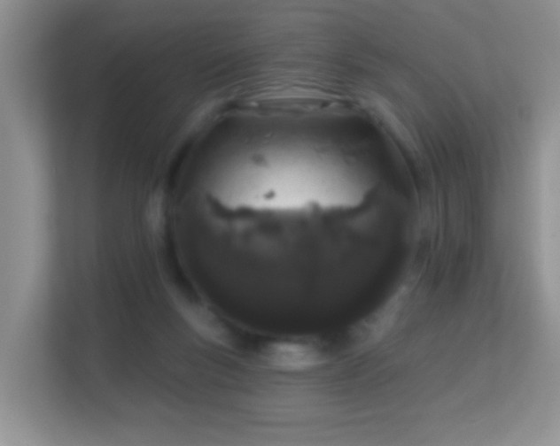 X0000113530167200909250913