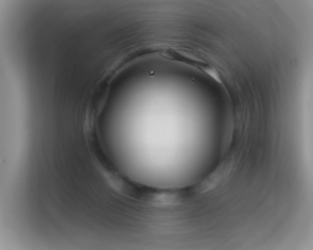 X0000113530168200909250913