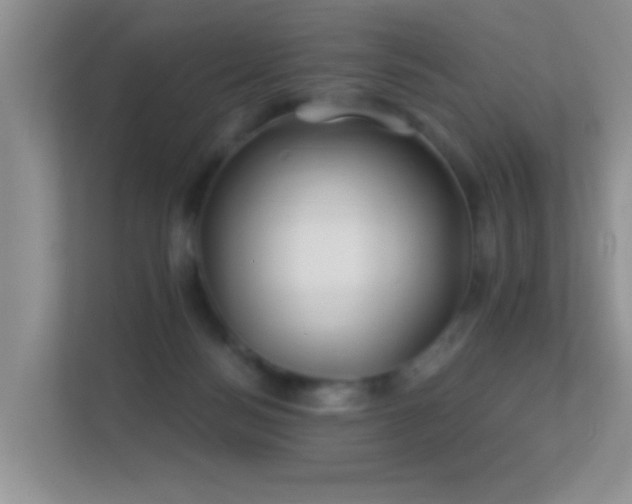 X0000113530172200909250913