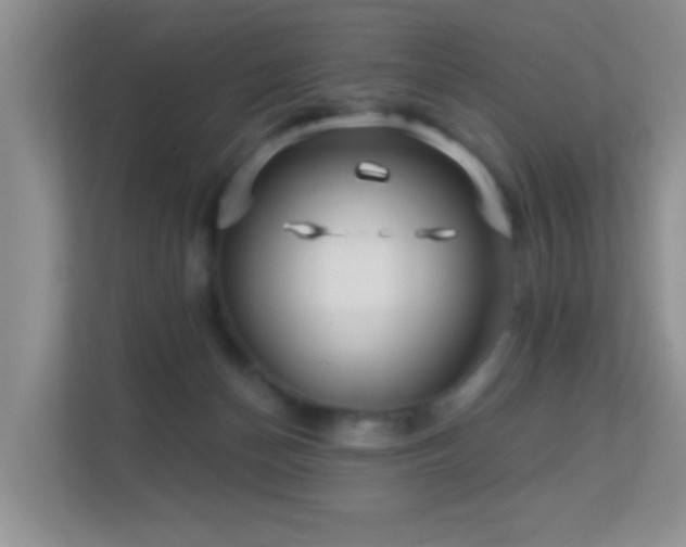 X0000113530174200909250913