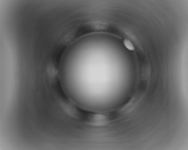 X0000113530176200909250913