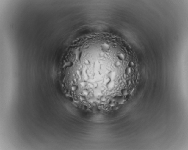 X0000113530177200909250913