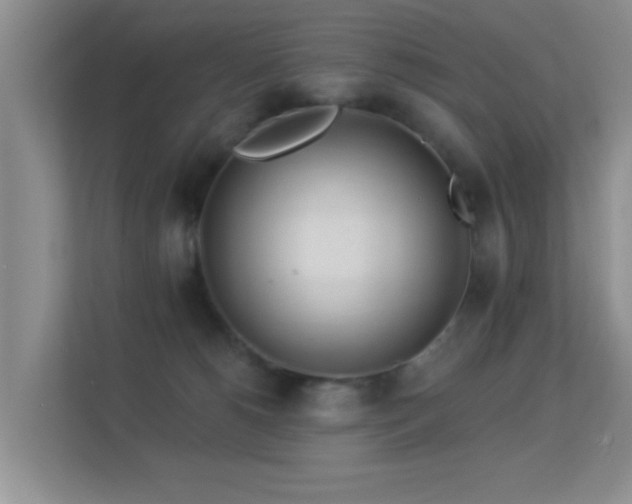 X0000113530180200909250913