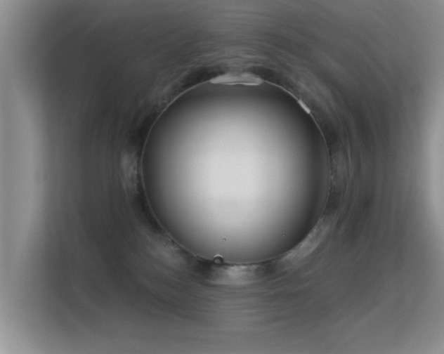 X0000113530184200909250913