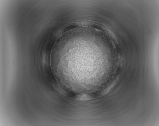 X0000113530189200909250913